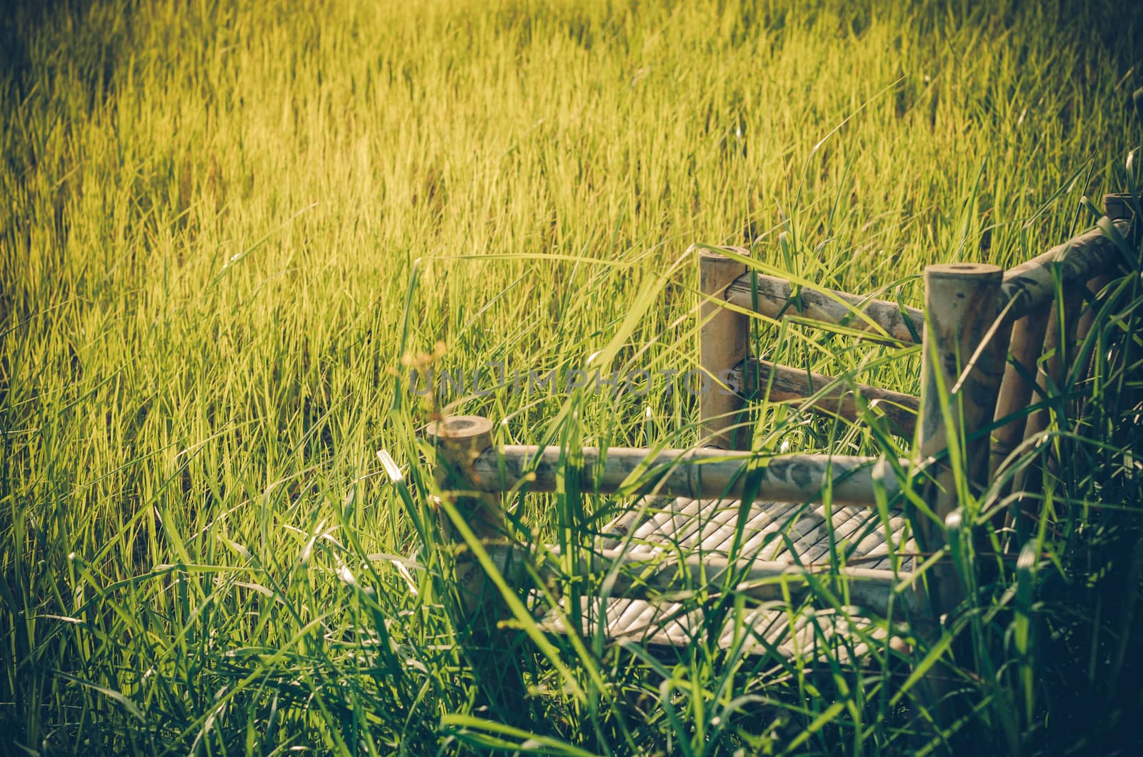 Bamboo wooden chairs on grass field in countryside Thailand vintage