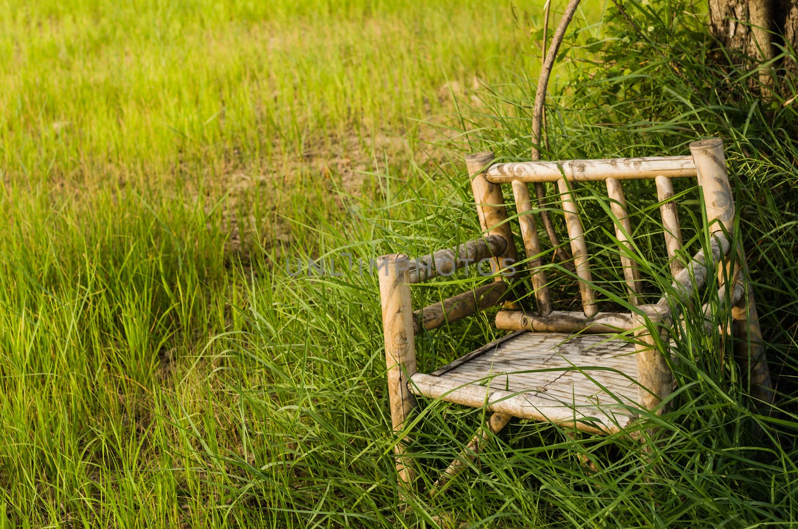 Bamboo wooden chairs on grass field in countryside Thailand