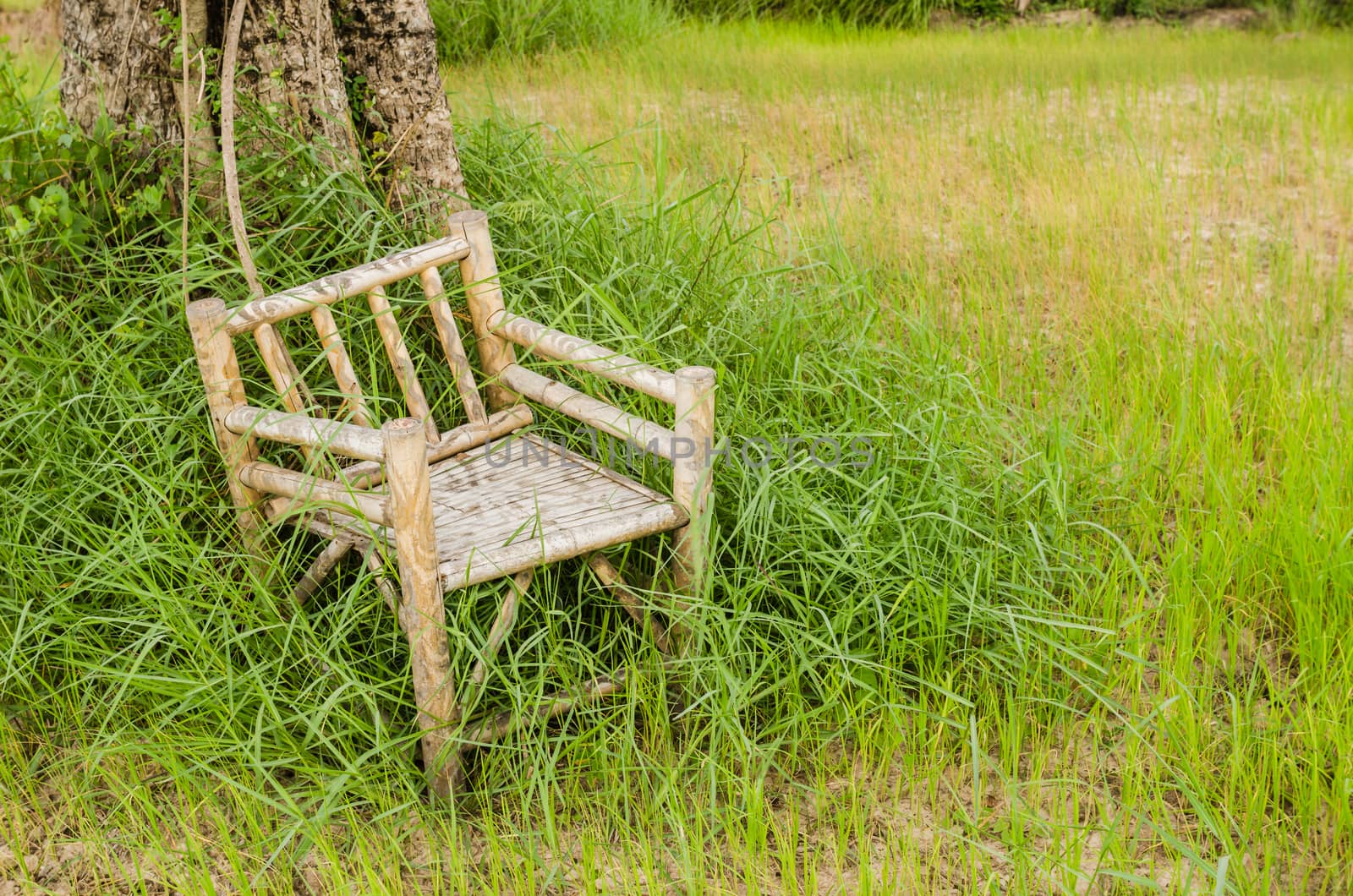 Bamboo wooden chairs on grass field in countryside Thailand