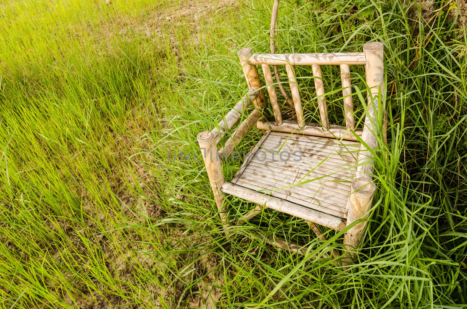 Bamboo wooden chairs on grass field in countryside Thailand