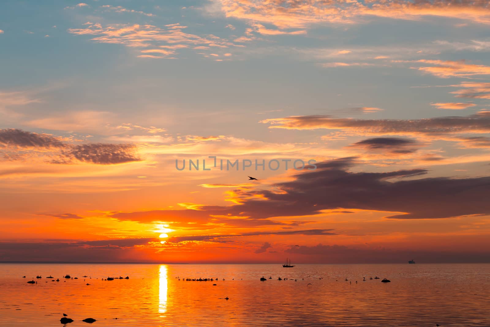 tall ship sailing along skyline during sunset