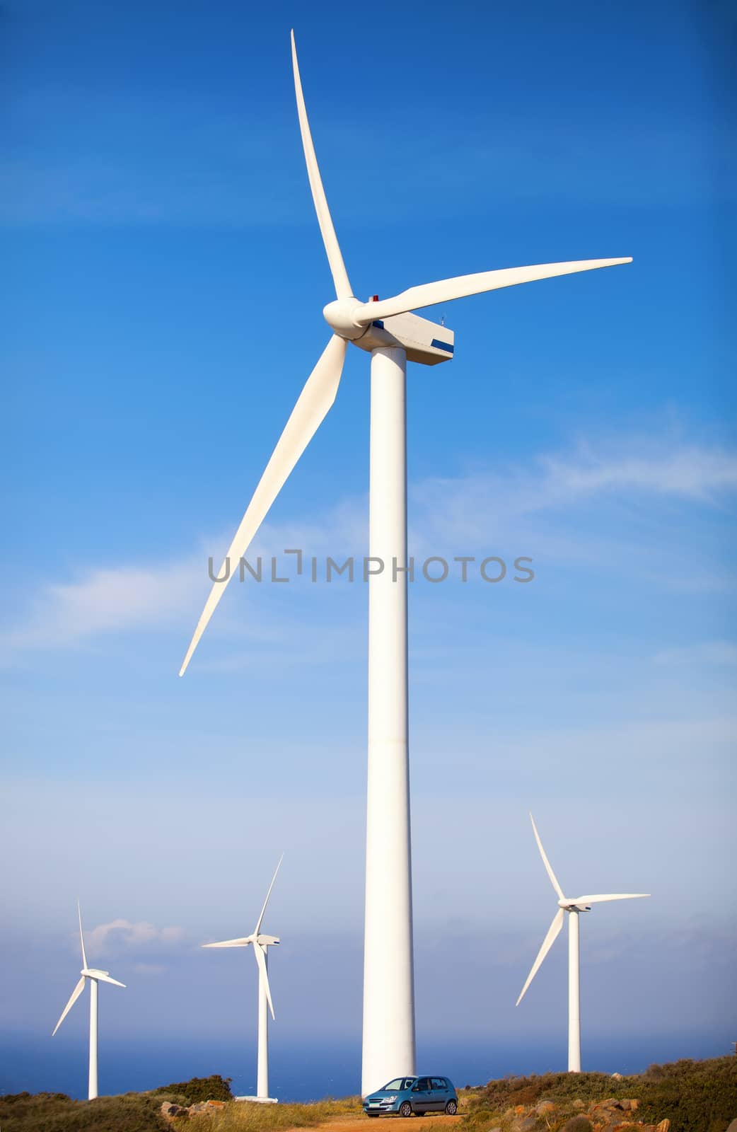 Wind turbines farm by photobac