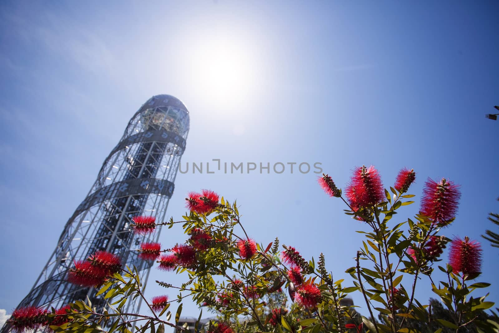 View on Alphabet Tower in Batumi, Georgia