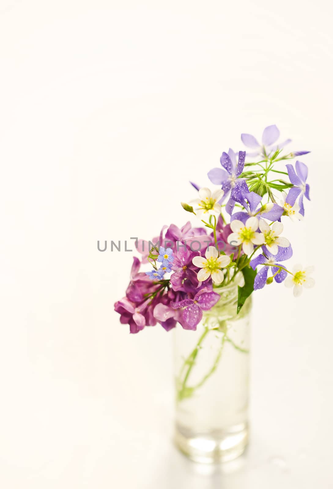 Beautiful spring flowers in a vase on white background