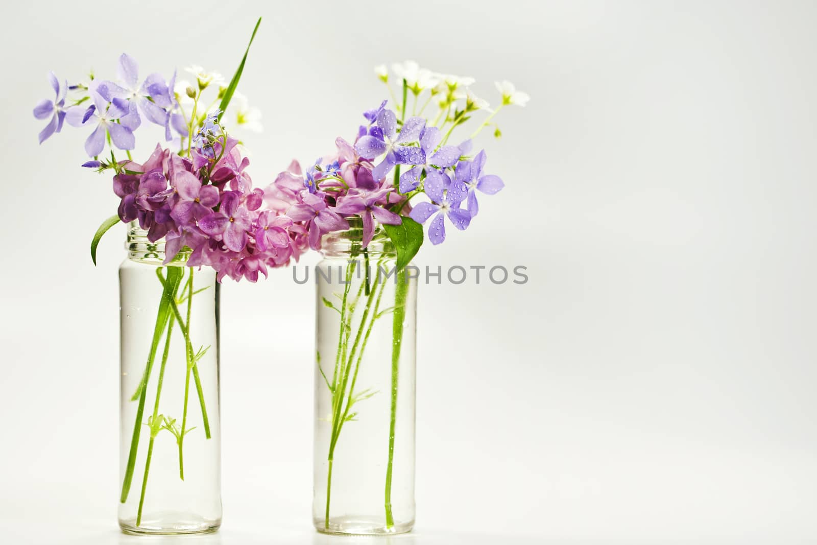 Beautiful spring flowers in a vase on white background