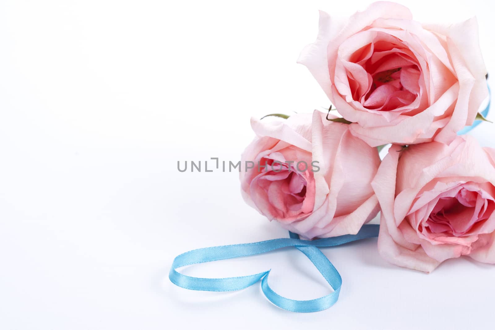 Bouquet of roses with ribbon in heart shape by mariakomar