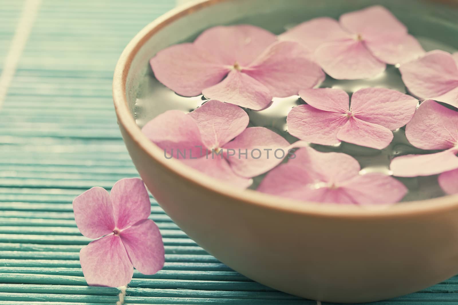Flowers in bowl of water by mariakomar