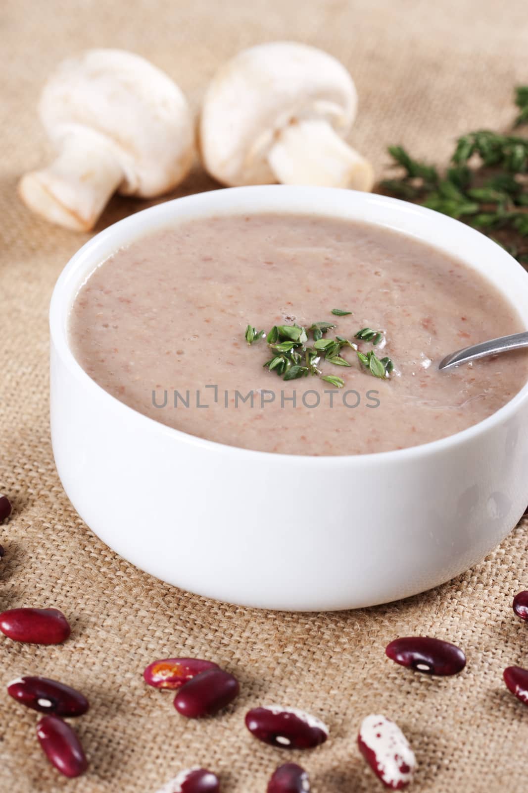 Cream soup with mushrooms and bean