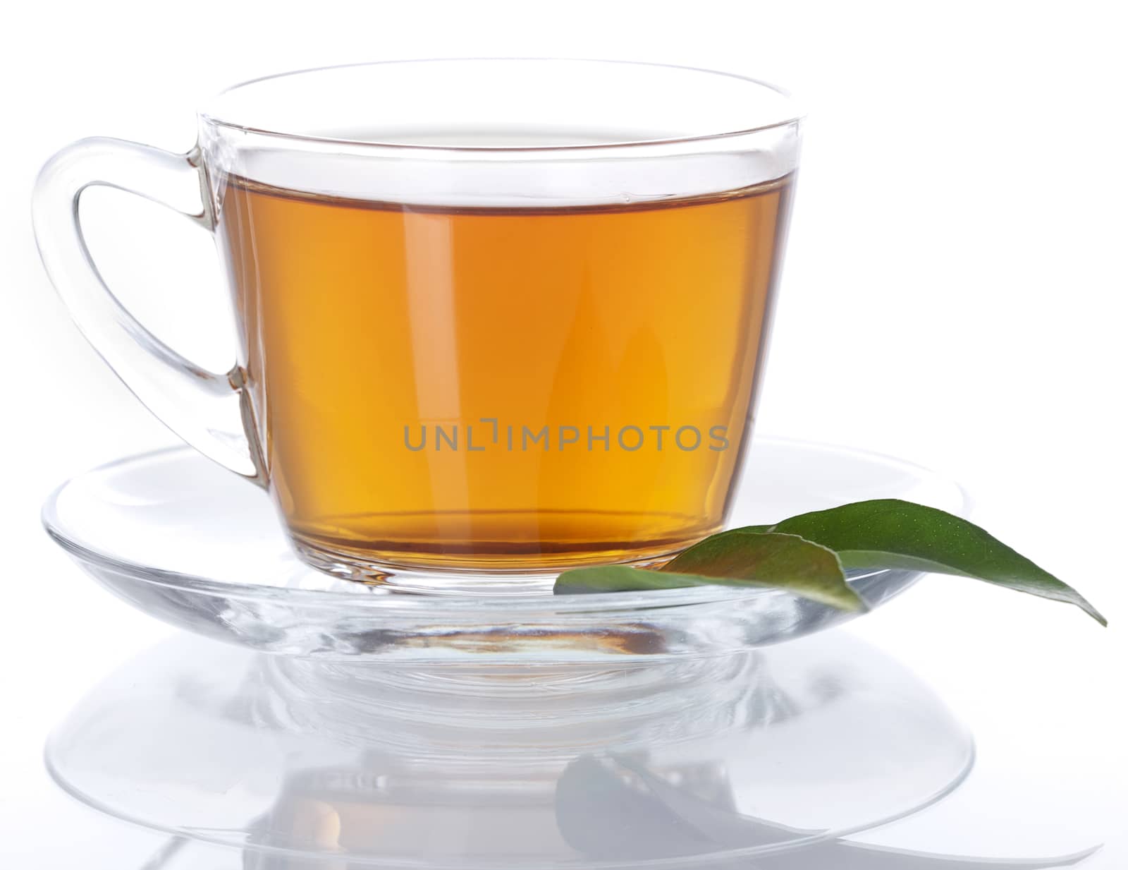 Cup of tea on white background 