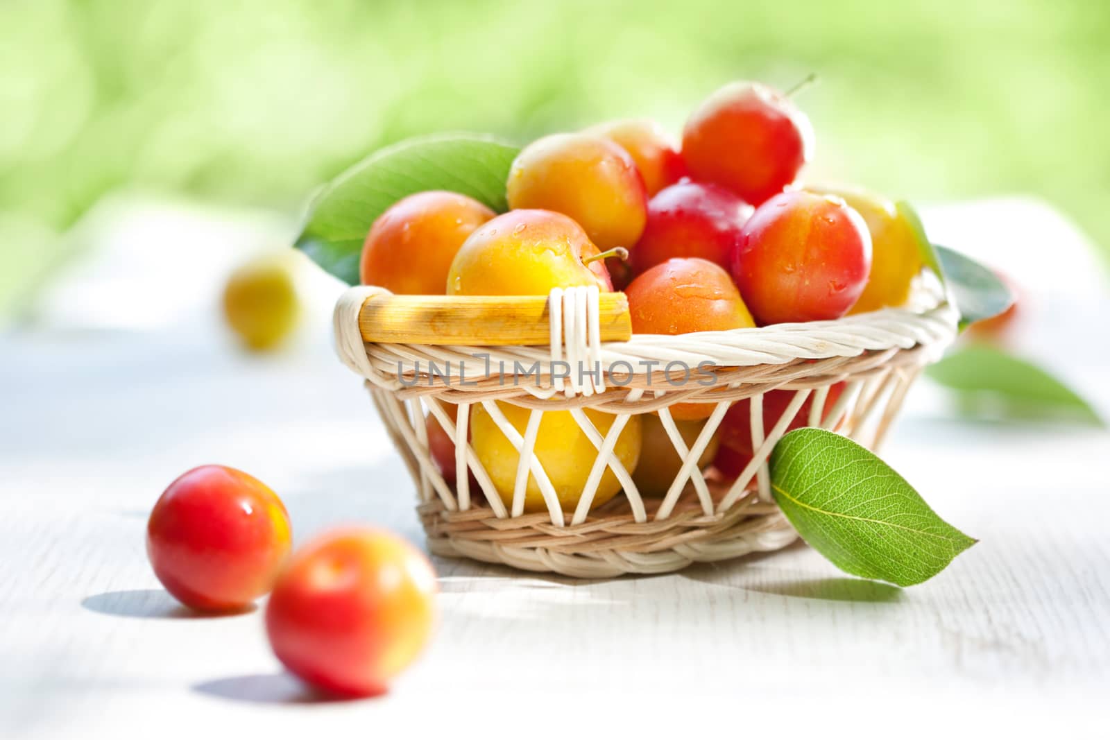 Fresh ripe plums in the basket 