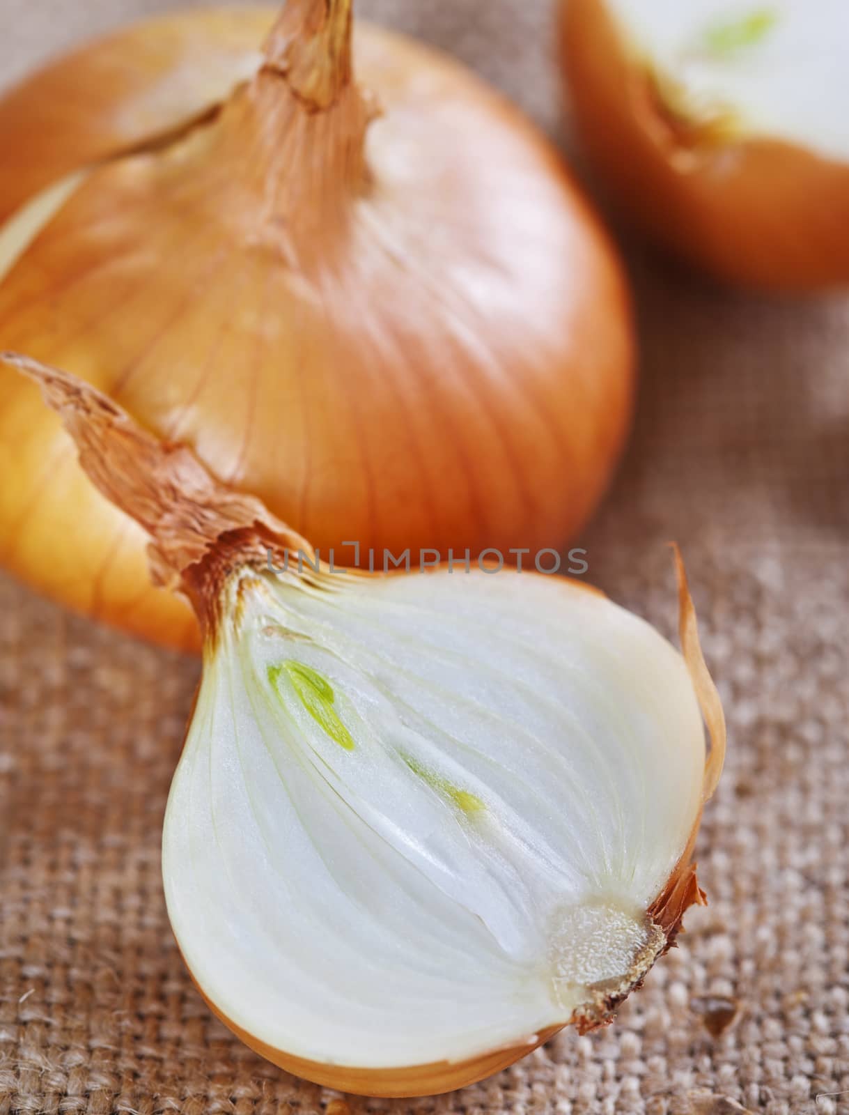 Fresh raw onions on rustic background
