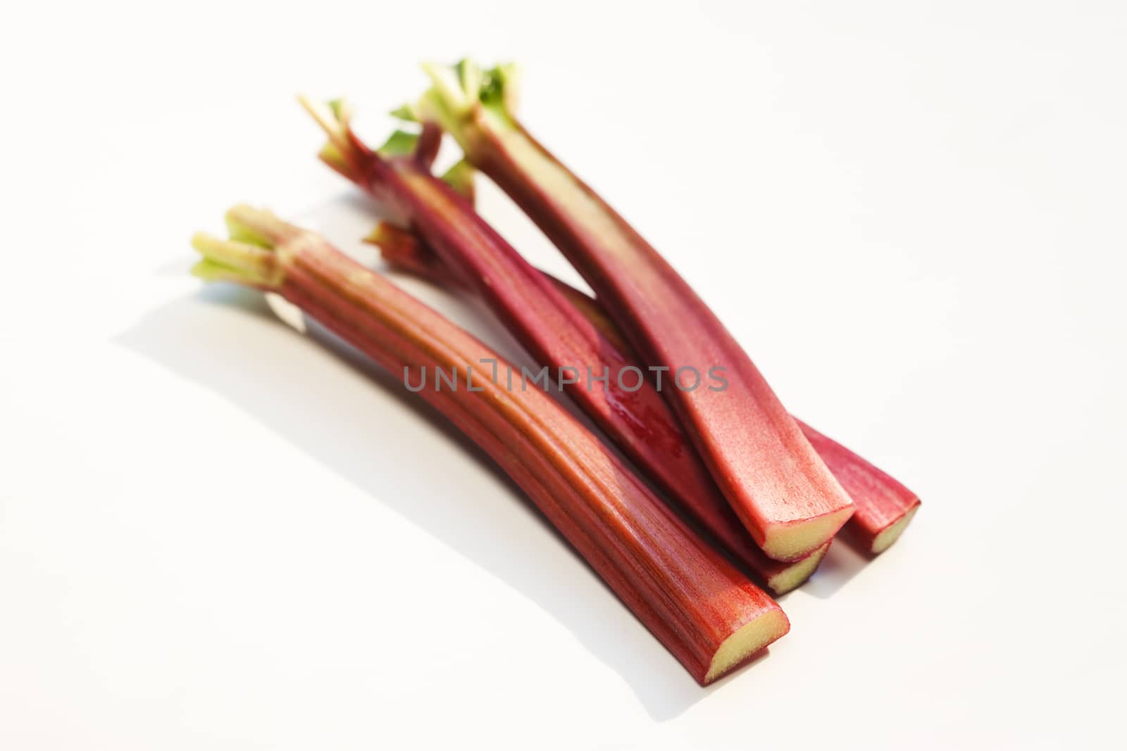 Fresh rhubarb on white background