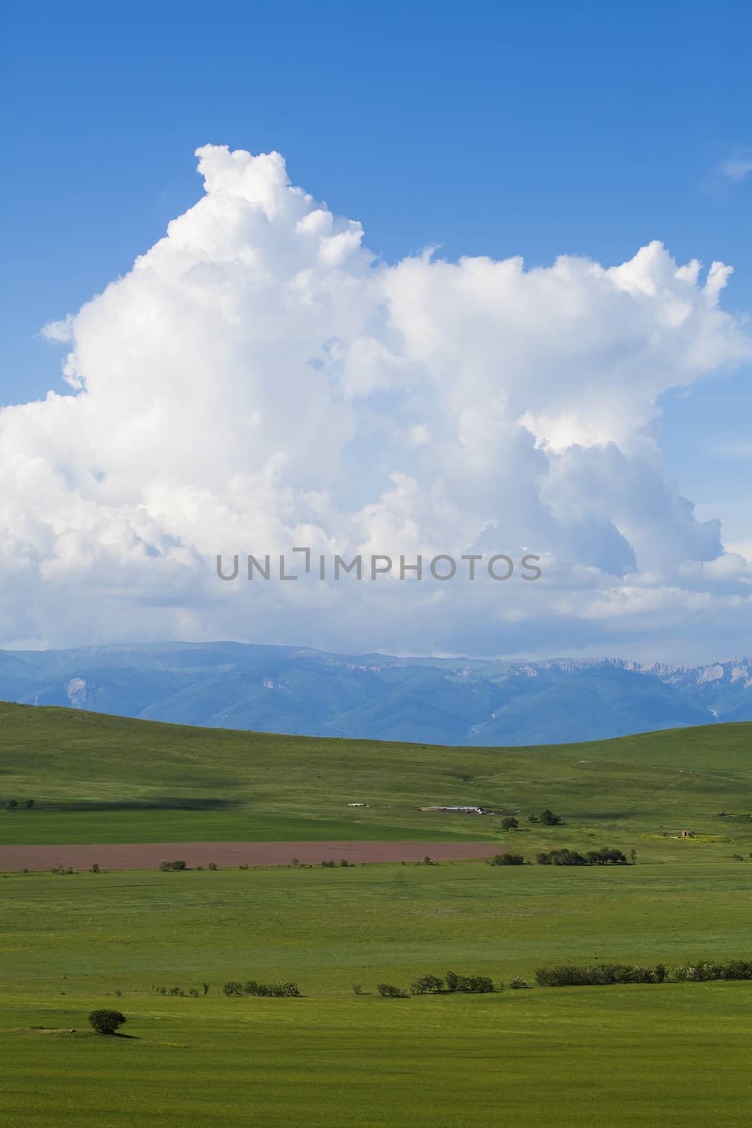 Green meadow, mountains and blue sky