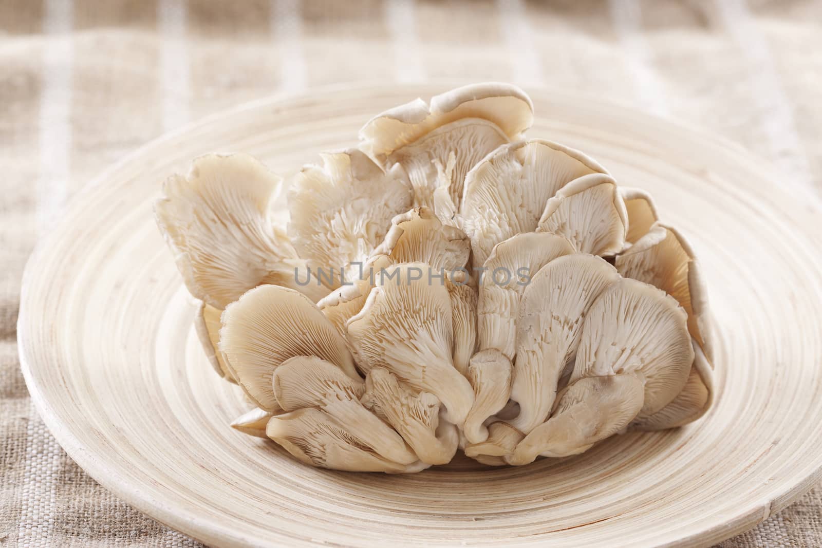 Fresh oyster mushrooms on wooden background