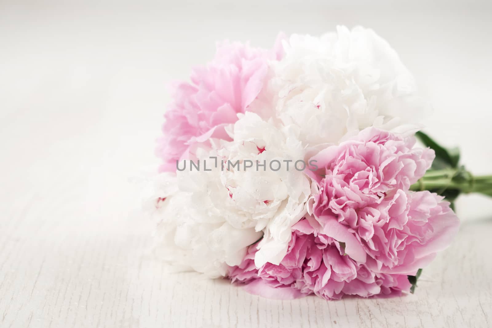 Beautiful bouquet of spring flowers - peonies