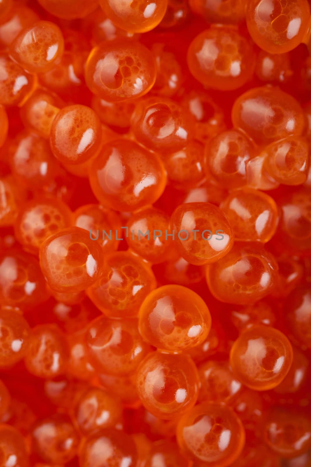 Delicious red salmon caviar macro photo