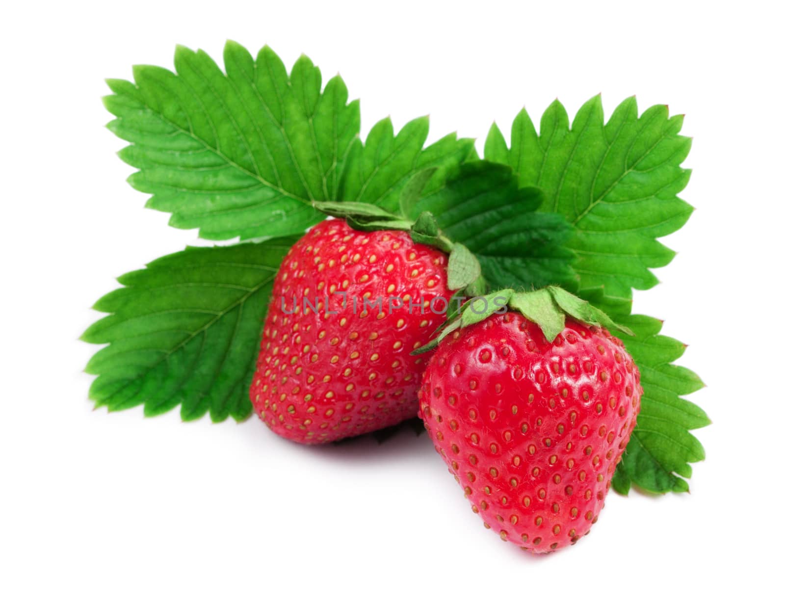 Fresh red strawberries isolated on white  