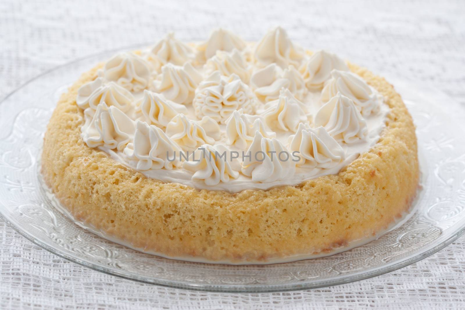 Tres leches cake on white background