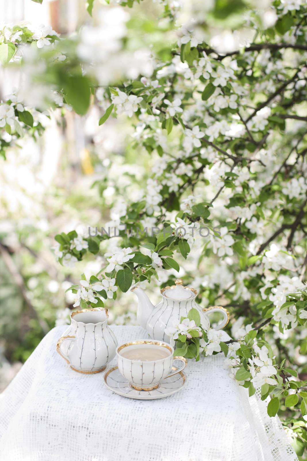 Tea in the blossoming garden by mariakomar