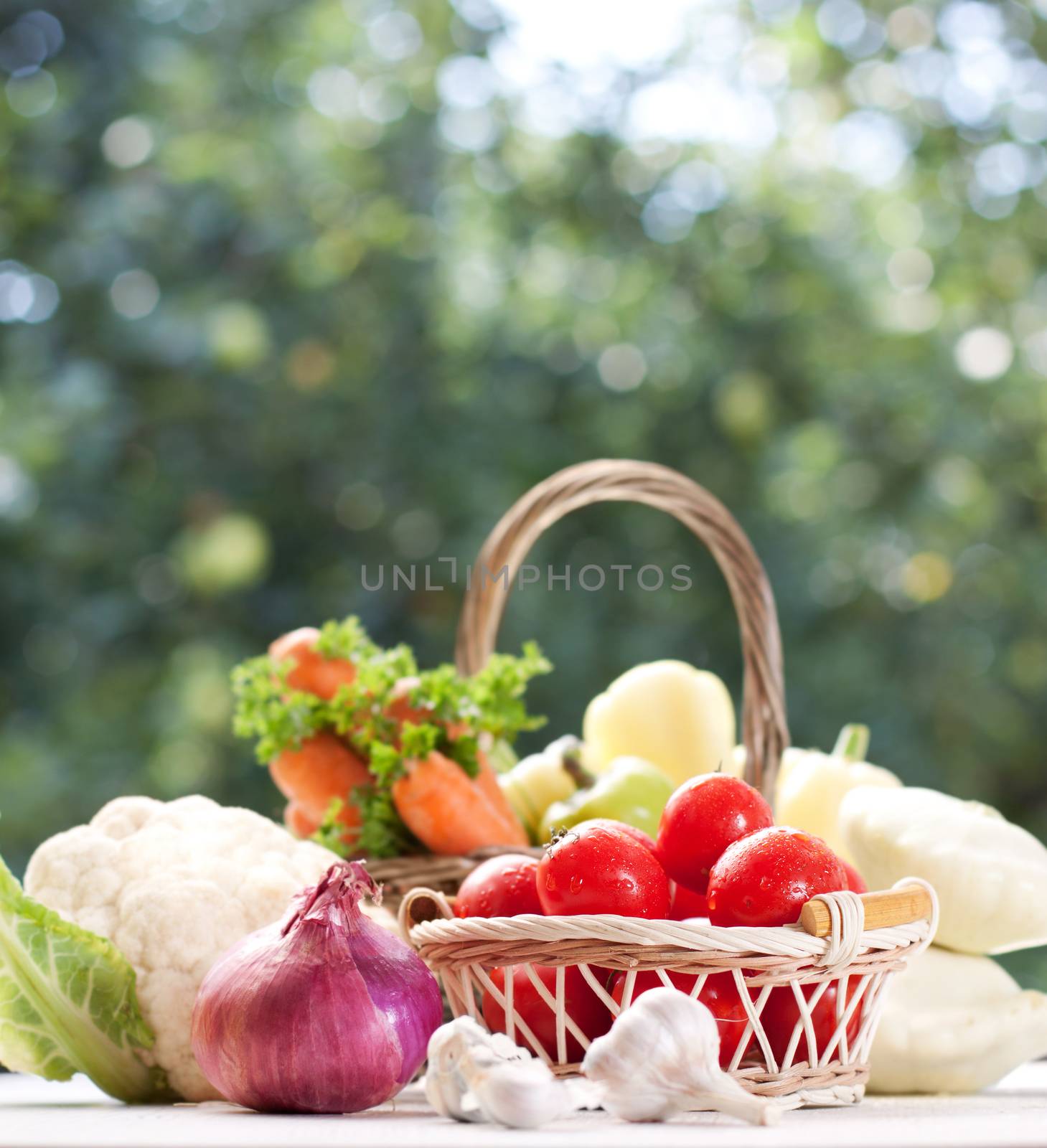 Healthy vegetables in the basket 