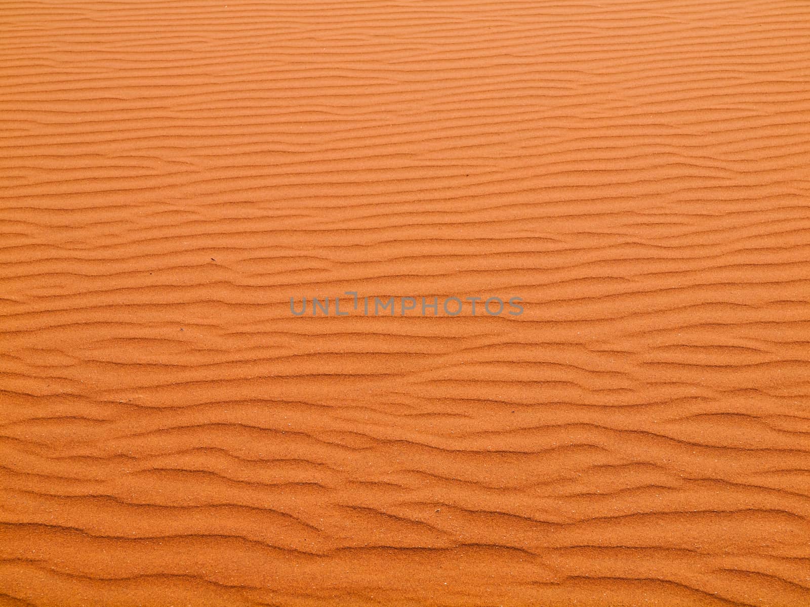 Red sand texture made by wind (Deadvlei, Namibia)