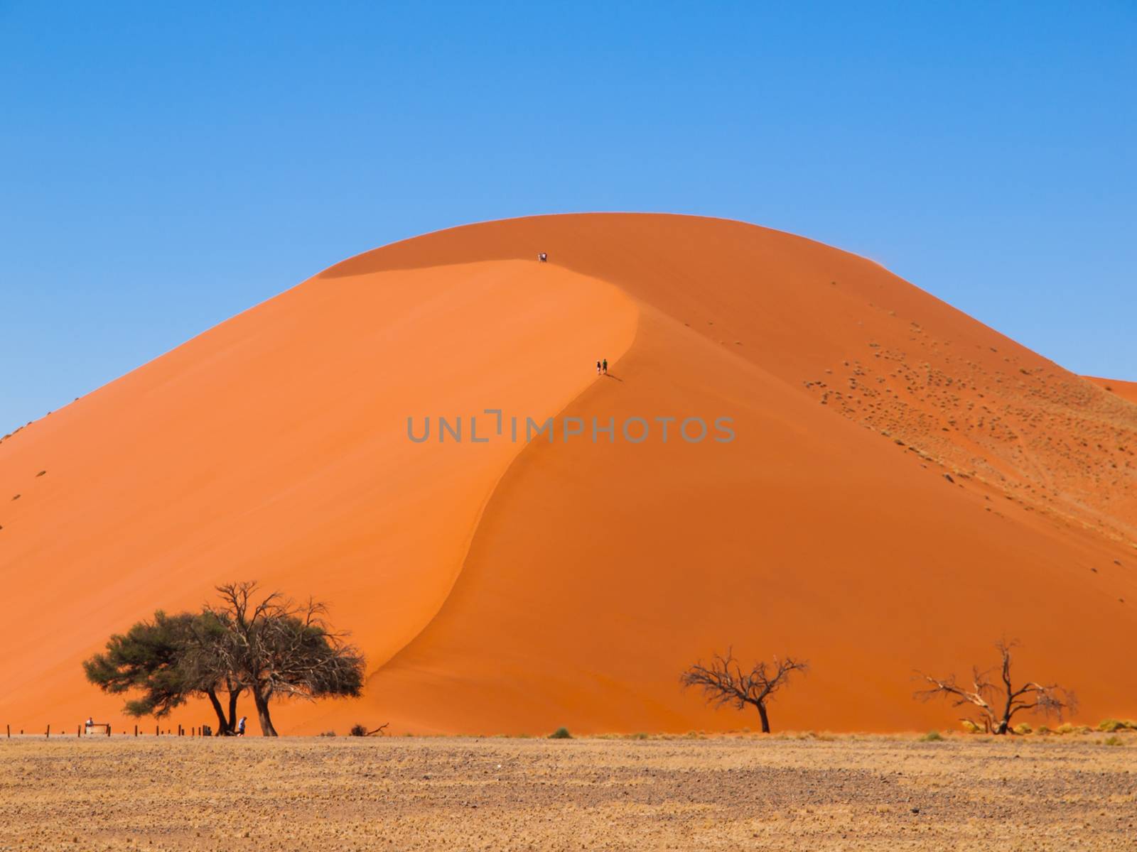 The most known dune of Namib desert - Dune 45 (Namibia)