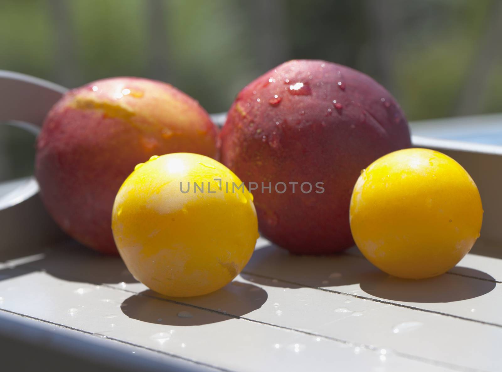 Fruits by Koufax73