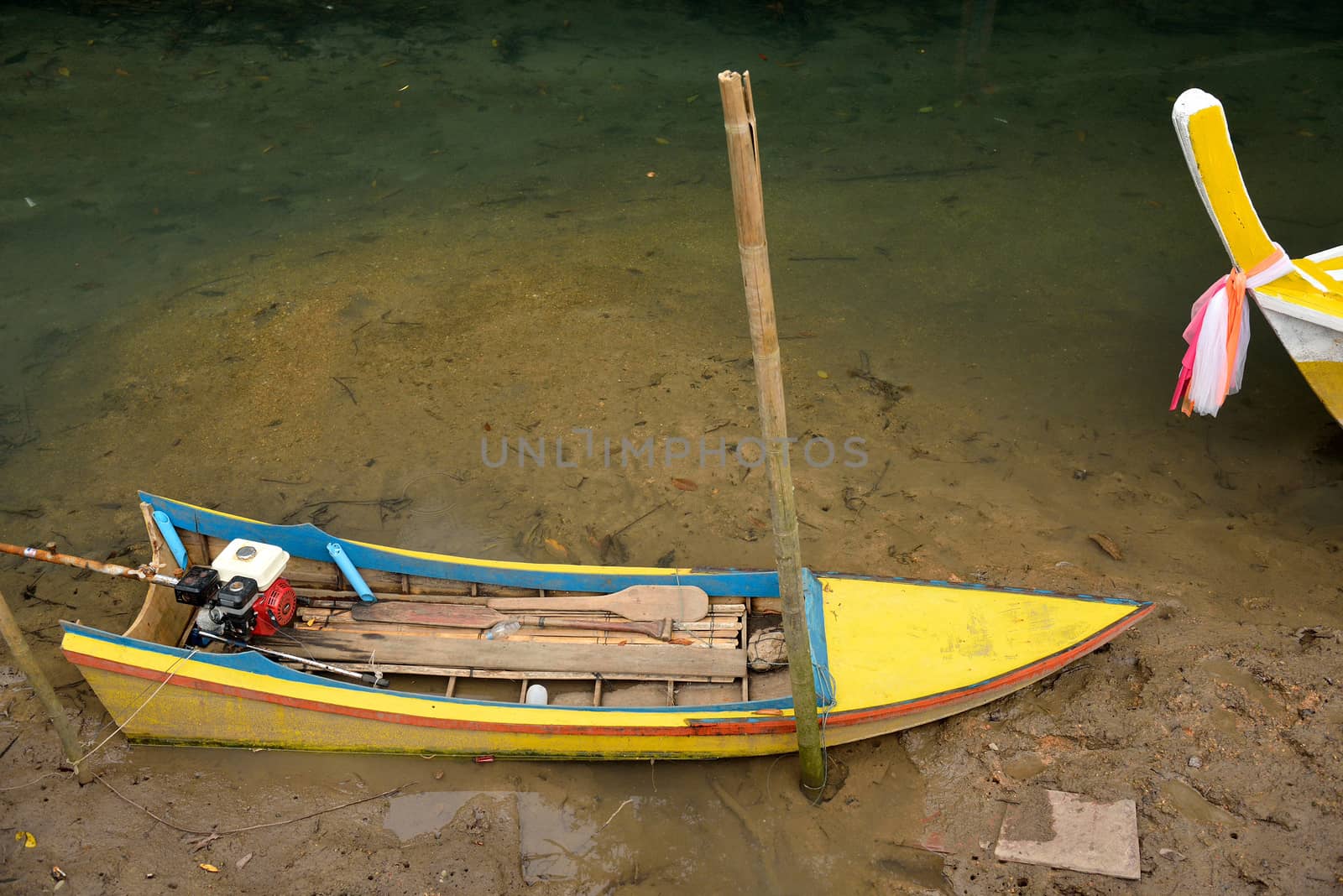 thetraditional boat in mangroves forest, Krabi, Thailand. by think4photop