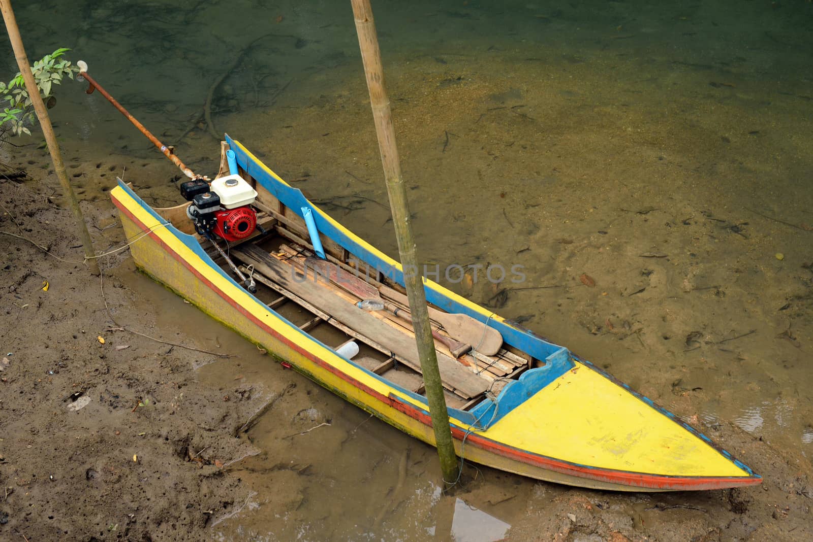 thetraditional boat in mangroves forest, Krabi, Thailand.