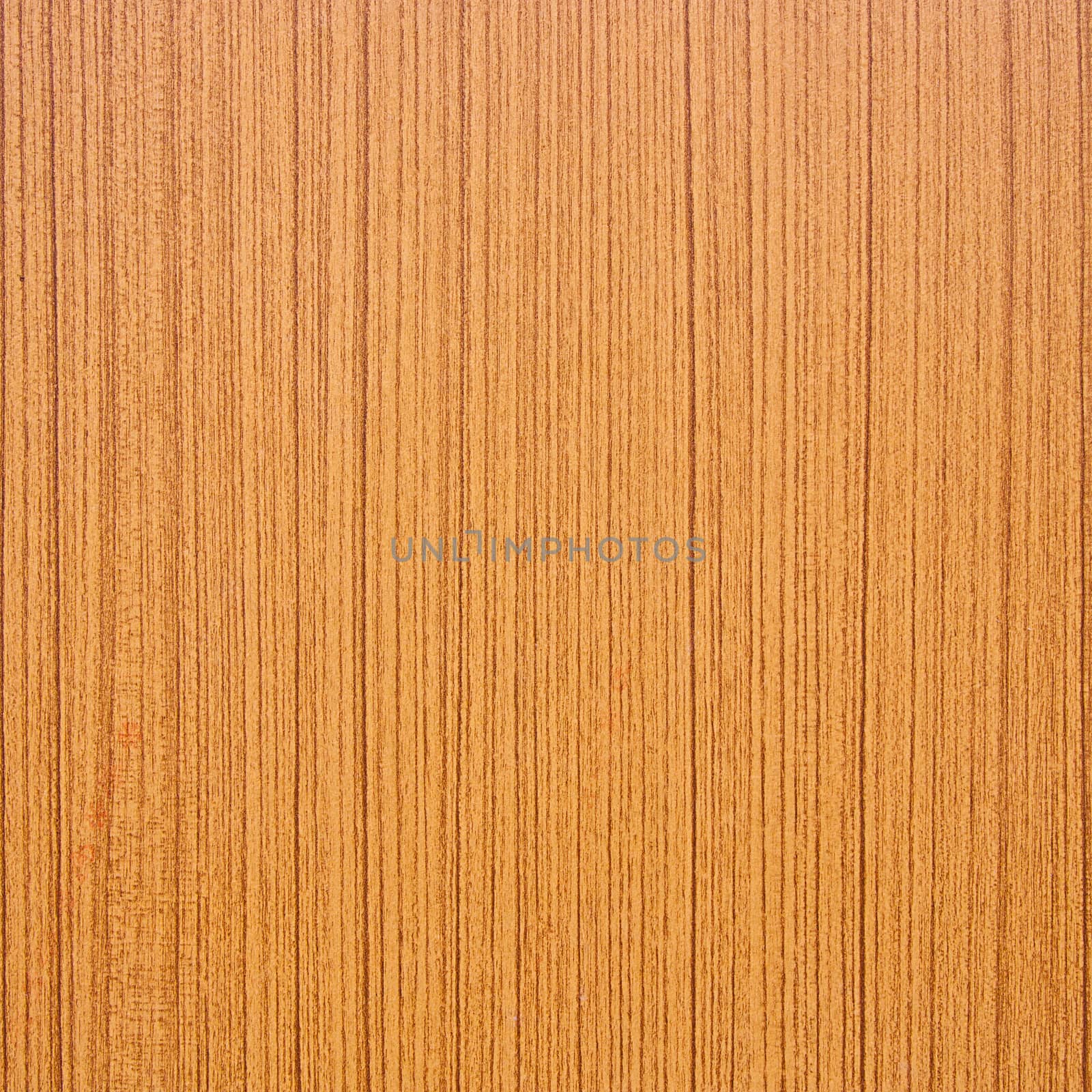 Texture of wood for background