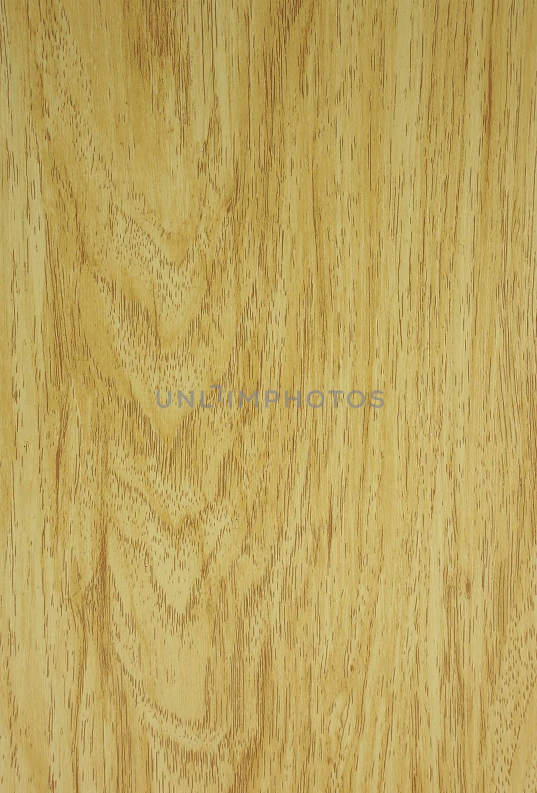 Wood texture by ninun