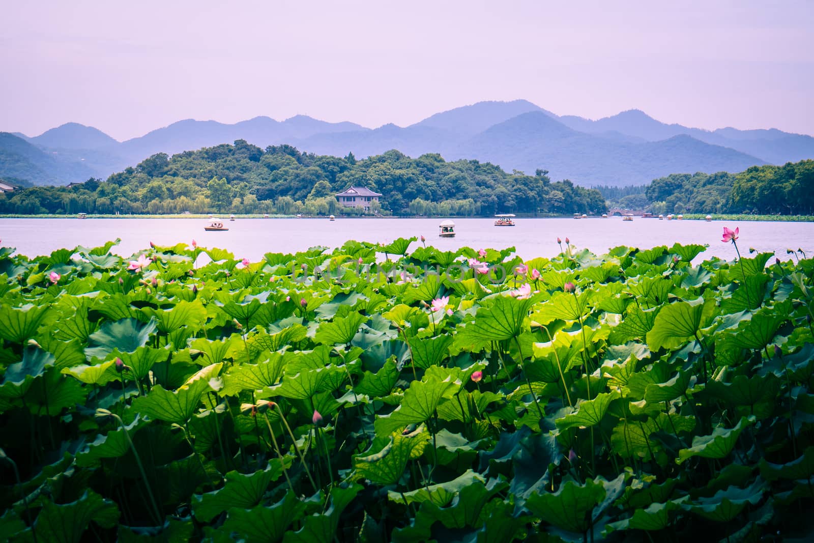 Hangzhou is a beautiful city in Zhejiang province China