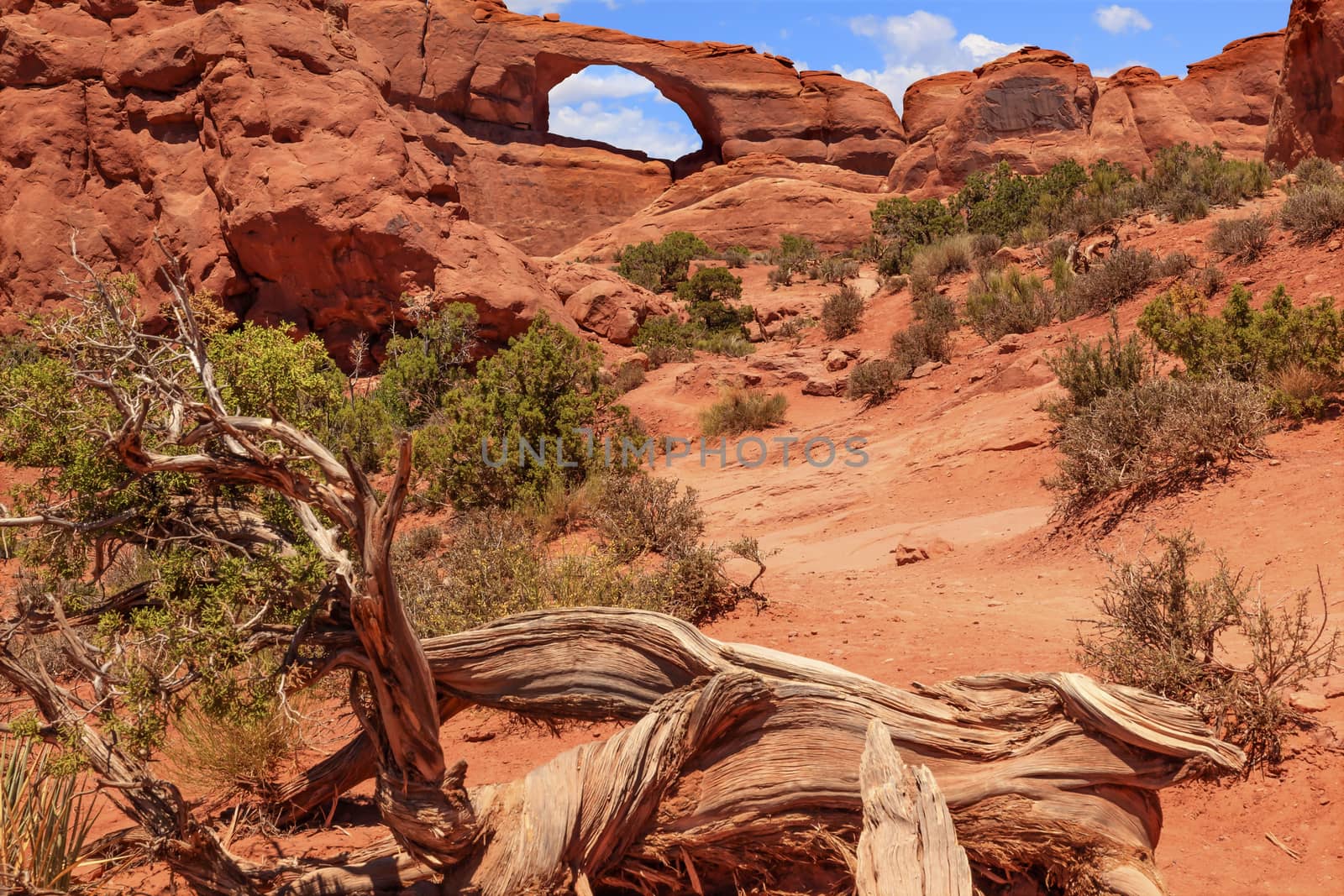 Red Brown Skyline Arch Rock Canyon Arches National Park Moab Utah USA Southwest. 