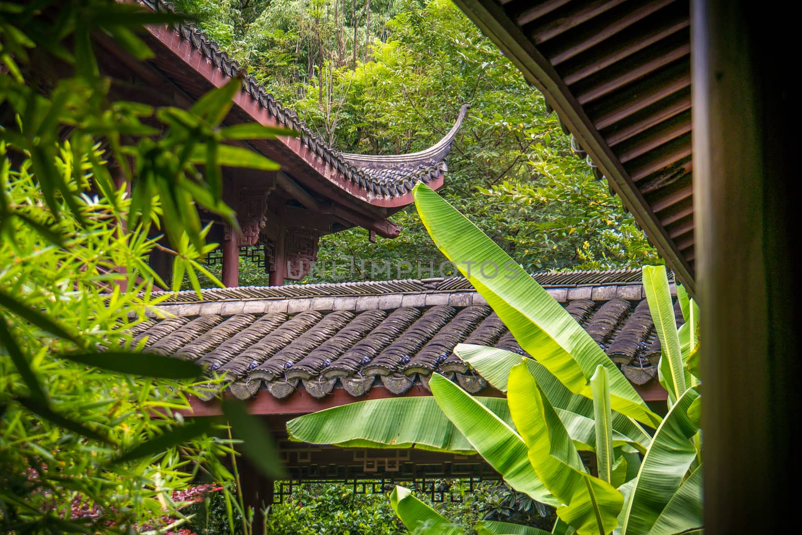 Hangzhou is a beautiful city in Zhejiang province China