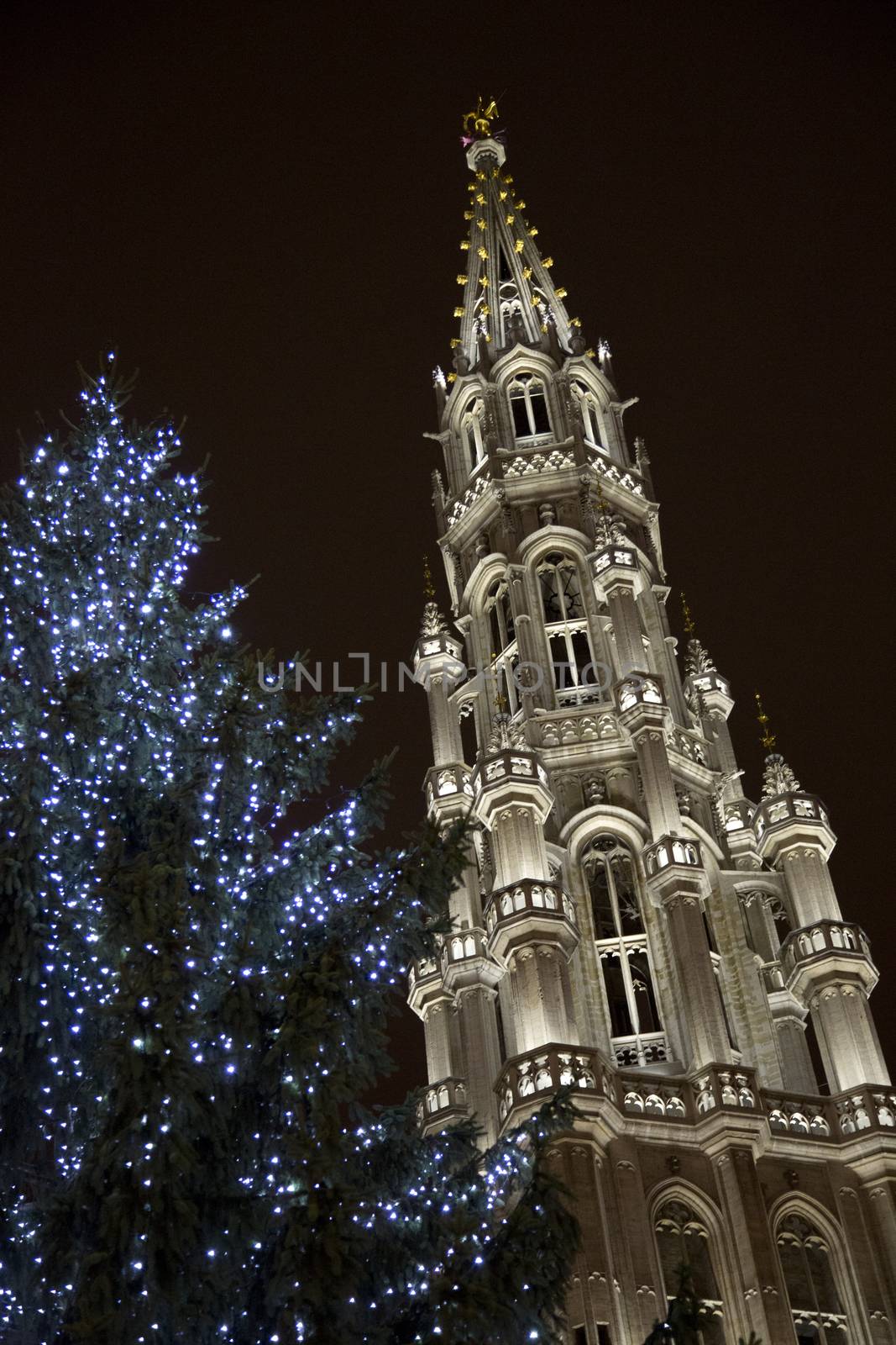 The buildings of the Grand Place of Brussels are illuminated during the winter wonders happening