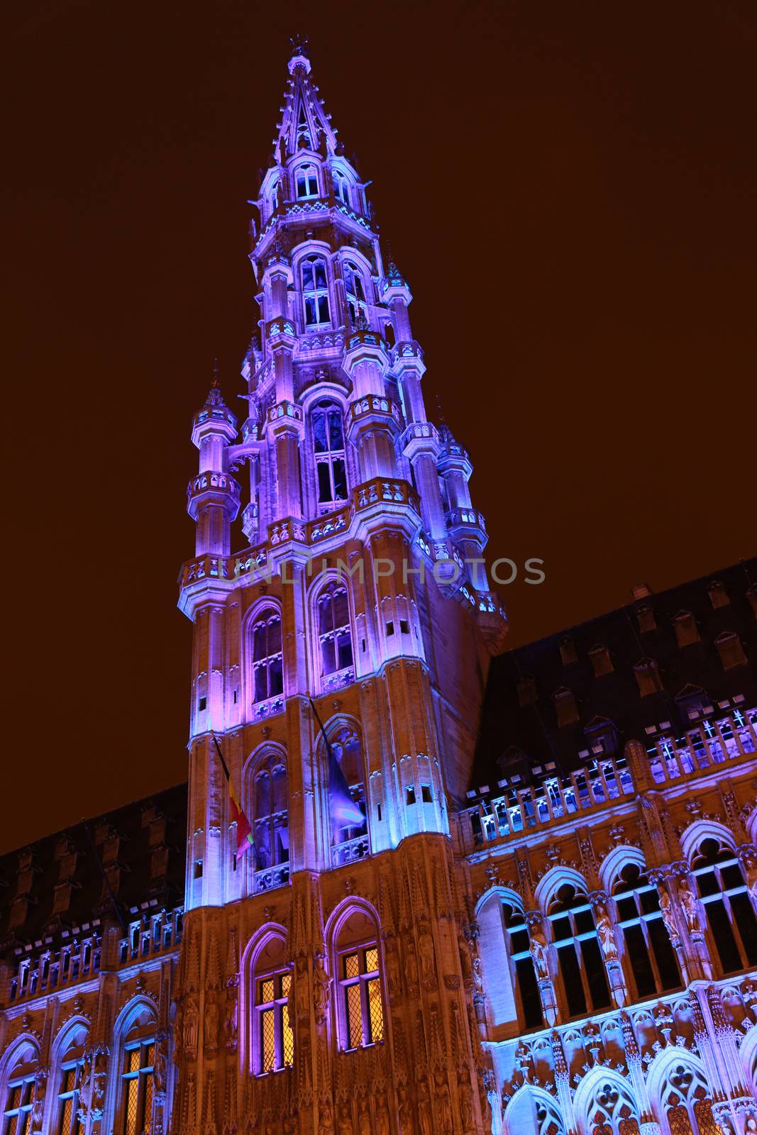 The buildings of the Grand Place of Brussels are illuminated during the winter wonders happening