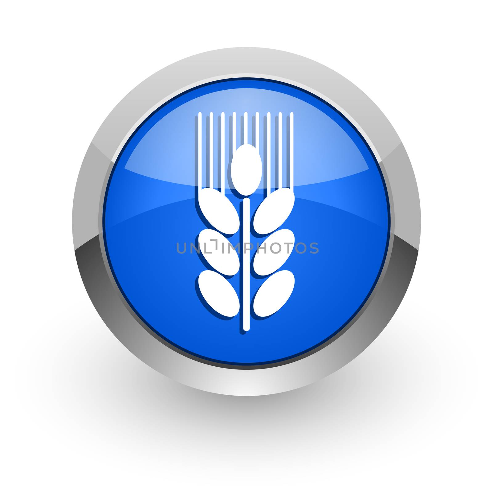 blue glossy web icon