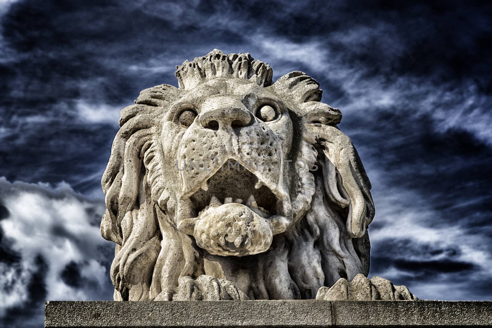 Lion of the Chain Bridge in Budapest by paocasa