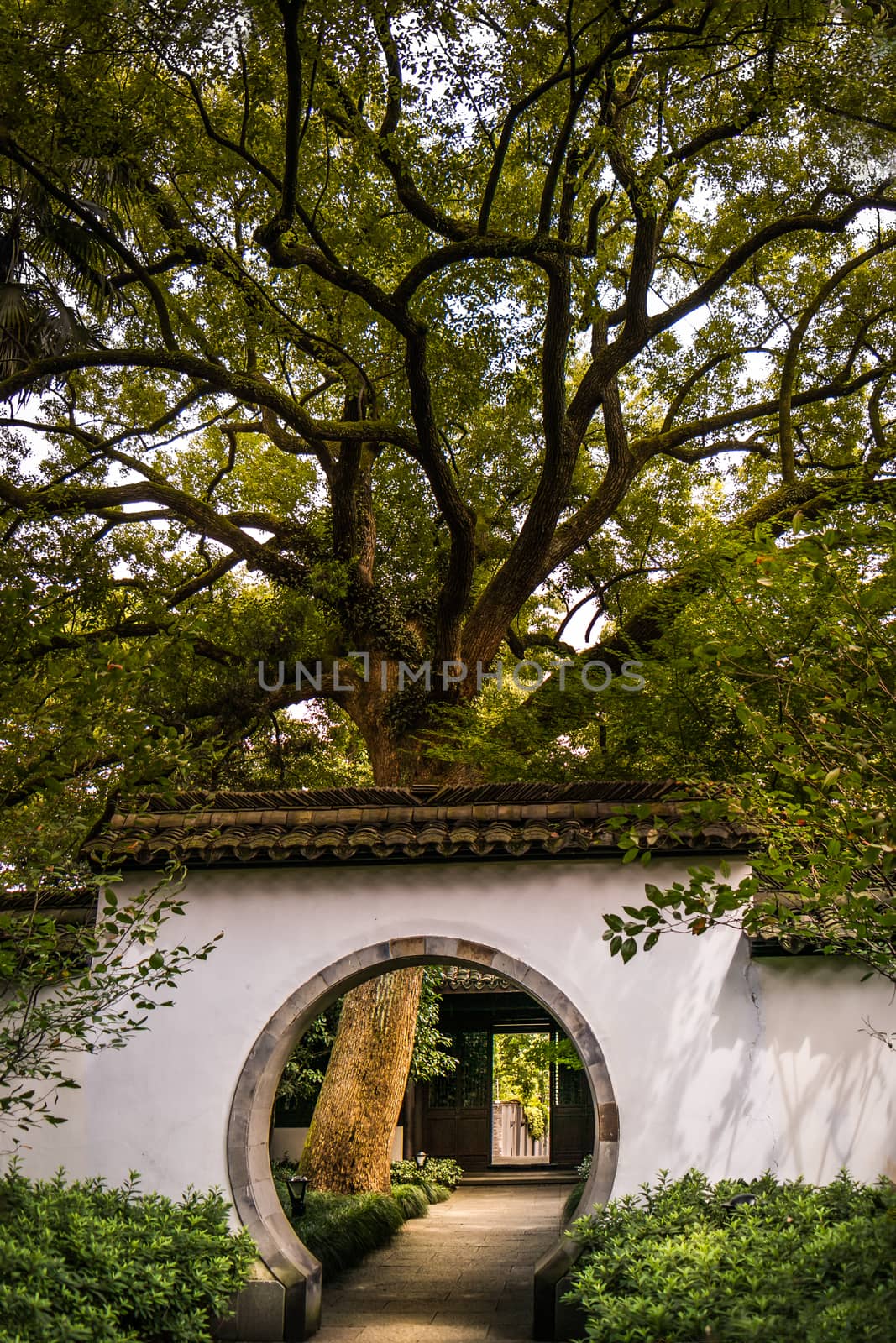 Hangzhou is a beautiful city in Zhejiang province China