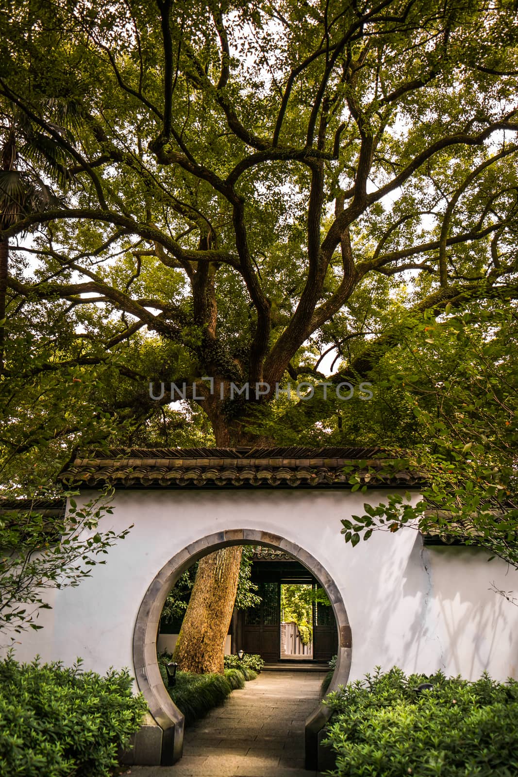 Hangzhou is a beautiful city in Zhejiang province China