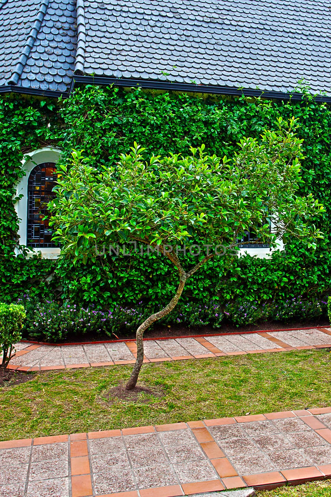 small chapel with green trees