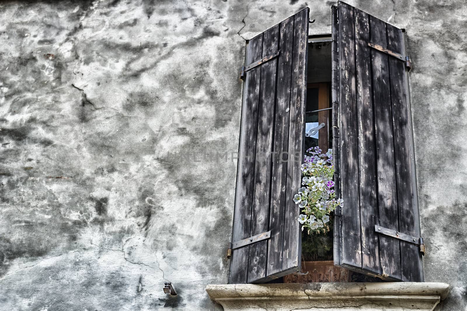 Old windows by paocasa