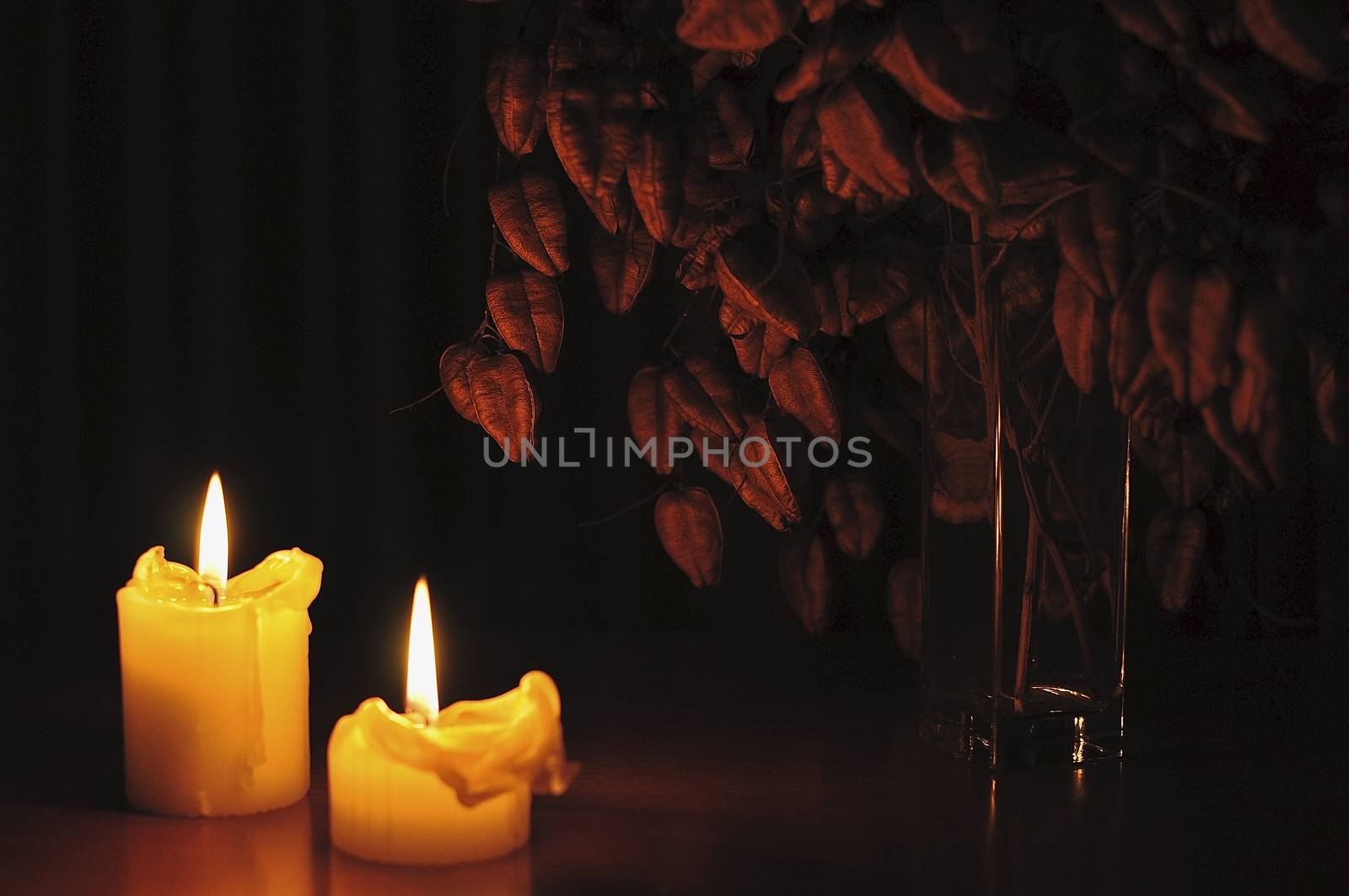 Evening in the candlelight by Roger0047