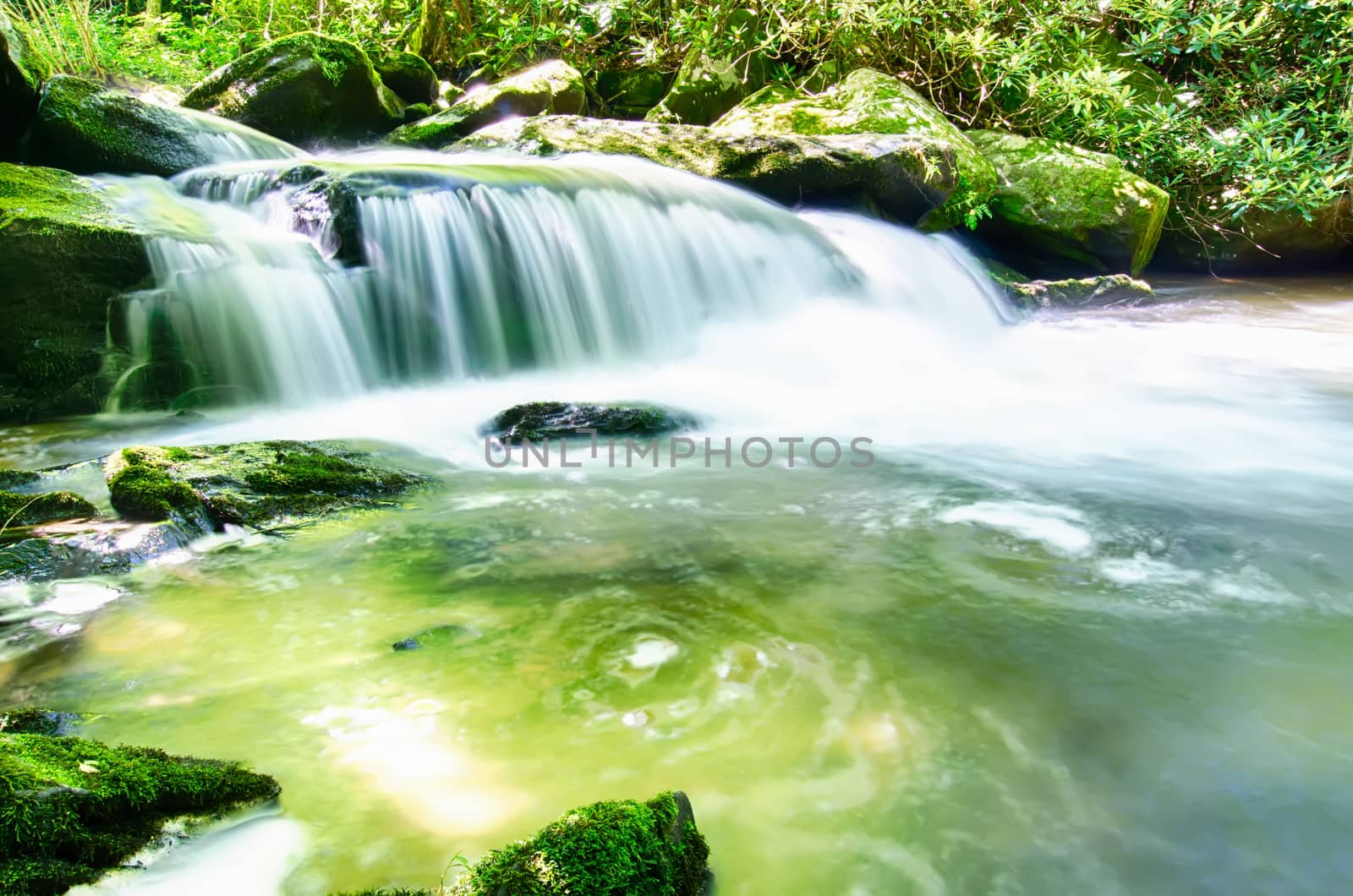 yellow creek falls great smoky mountains