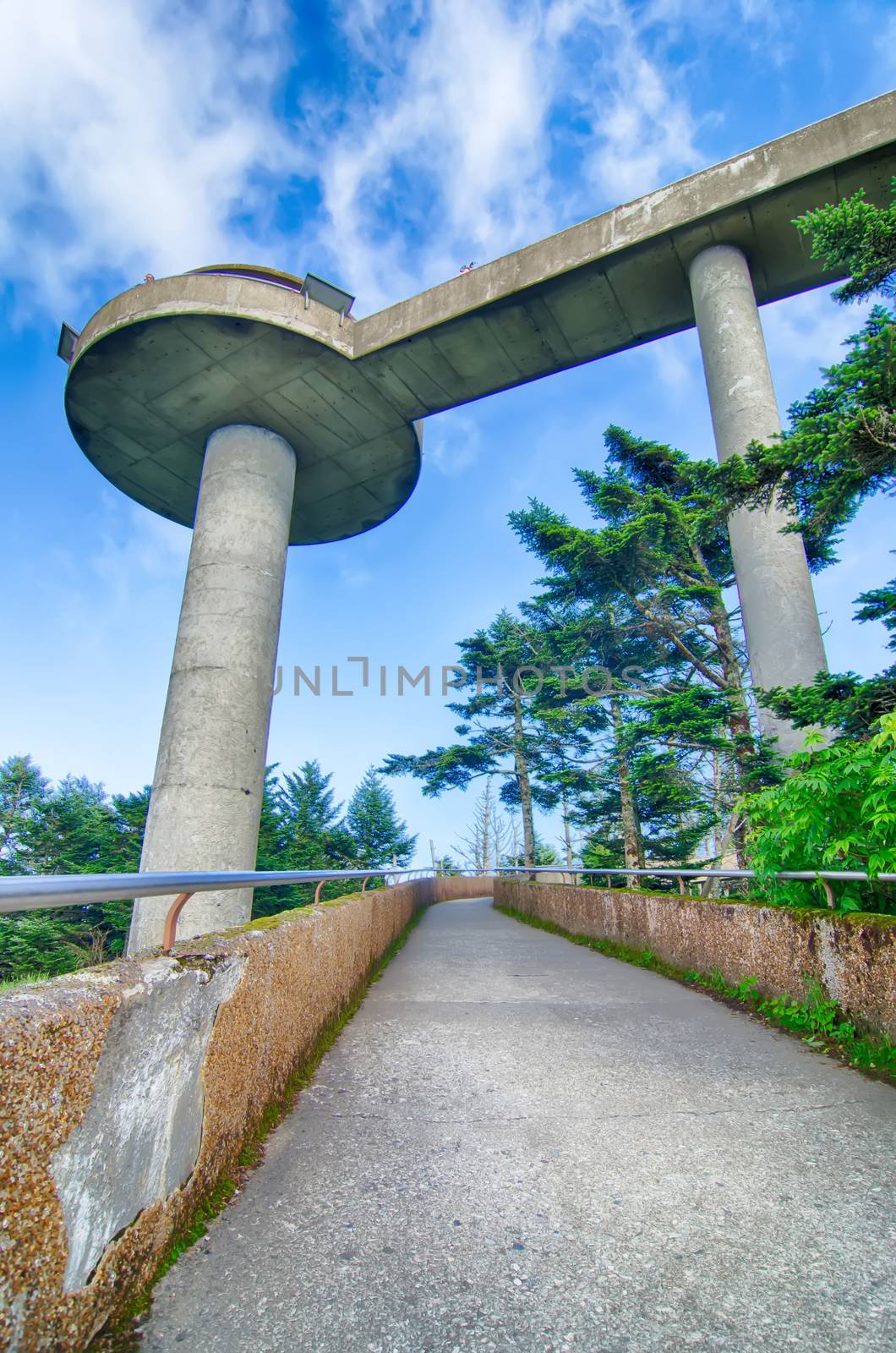 Clingmans Dome - Great Smoky Mountains National Park