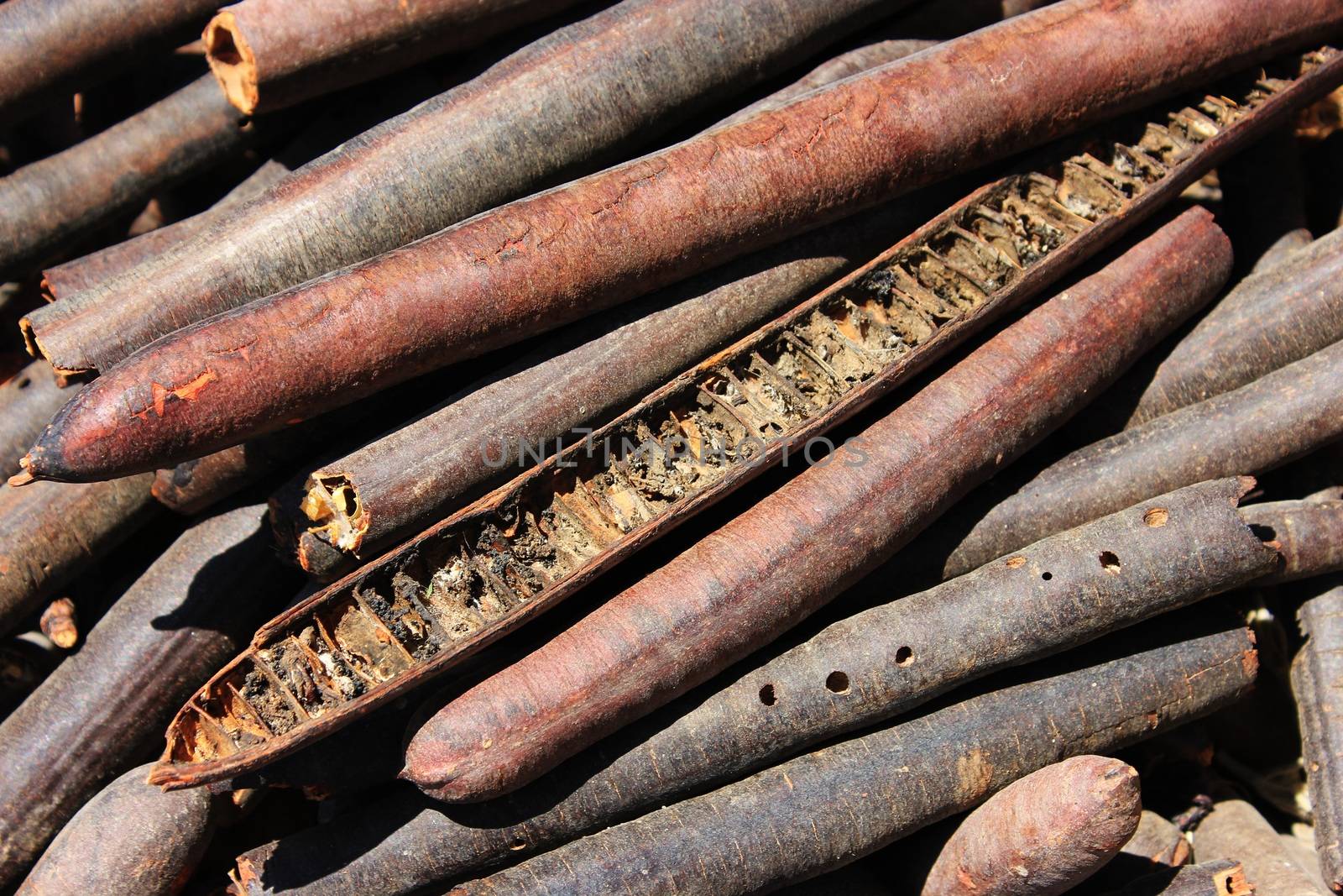 Spices and herbs on oriental market