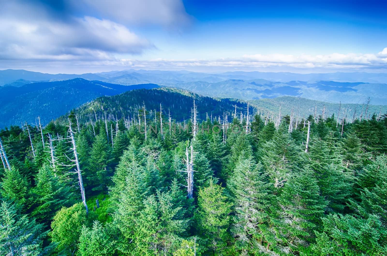 A wide view of the Great Smoky Mountains from the top of Clingma by digidreamgrafix