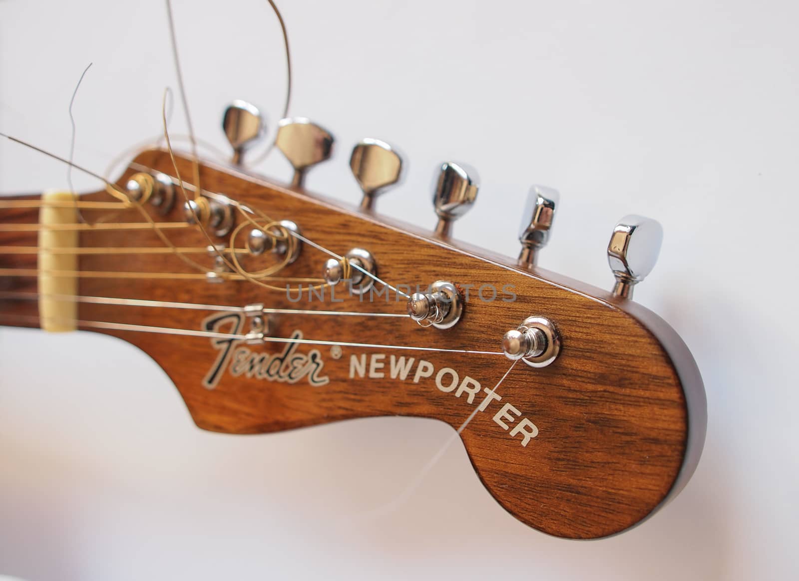 Fender guitar by paolo77