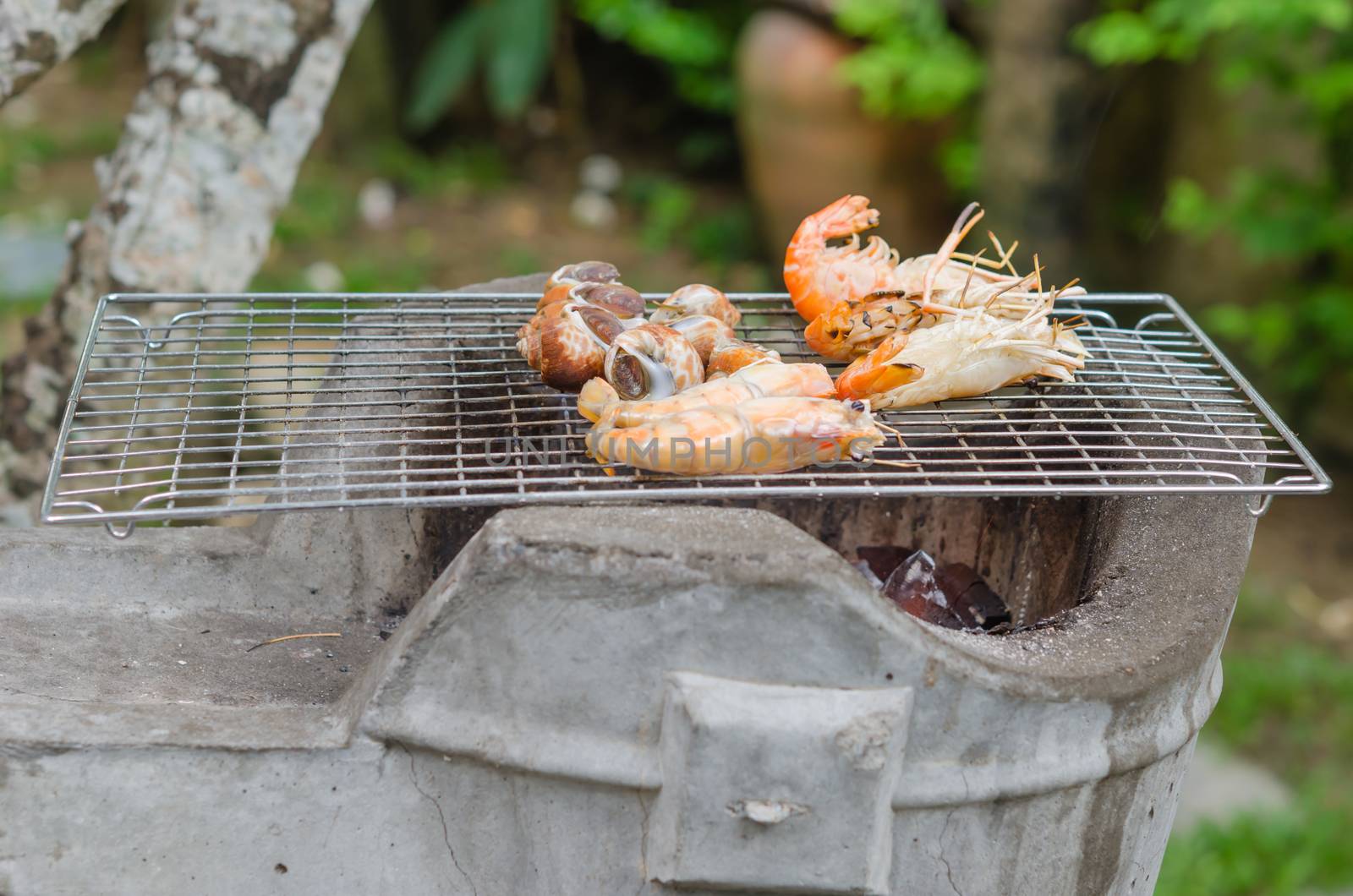 Spotted babylon and shrimps on grill cooking