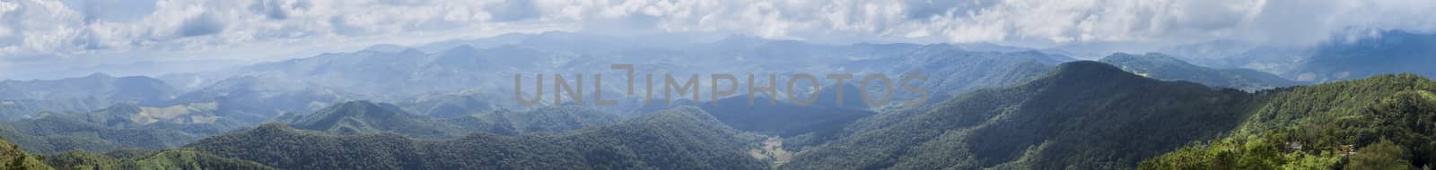 panorama mountain forest and sky.trees and forest cover high mountains.